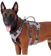 Huntboo Reflective Dog Harness with Handle, Escape Proof, No Slip, Breathable, Lightweight, Adjus...