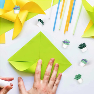 Cute Succulent Plants Decorative Push Pins Colorful Floret Thumbtacks for Photo Wall, Feature Wall