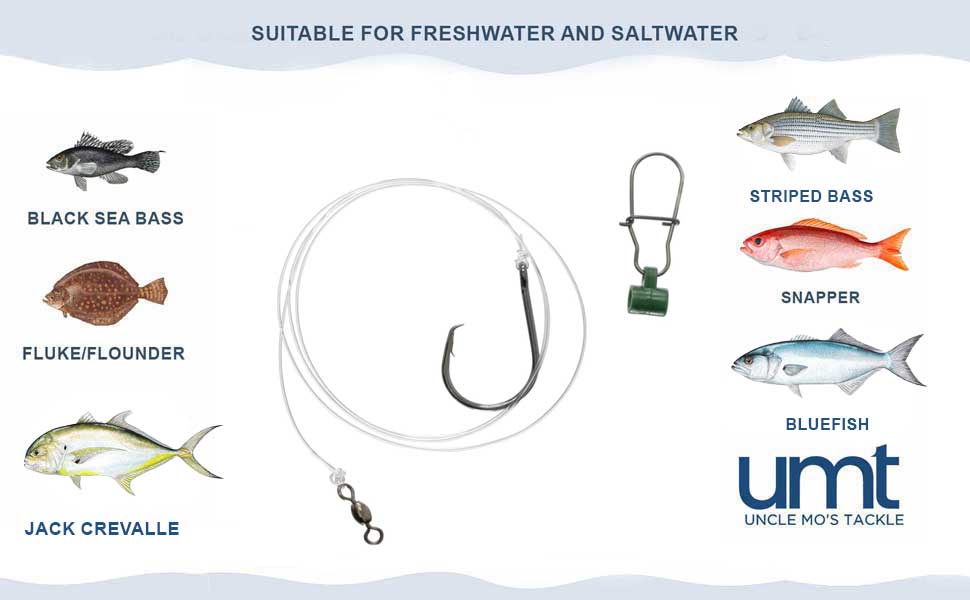 freshwater lure