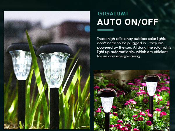 solar lights