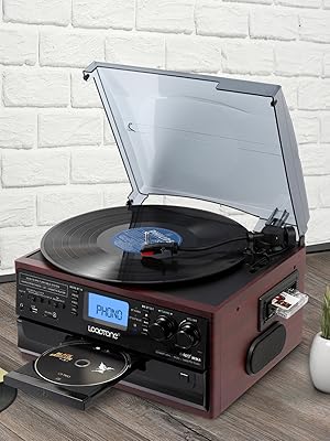 10 in 1 Vinyl Record Player