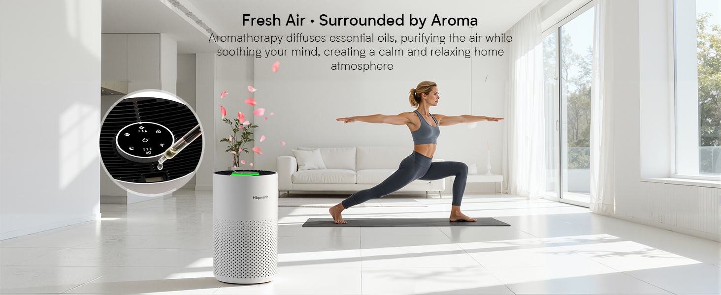 hepa air purifiers for home