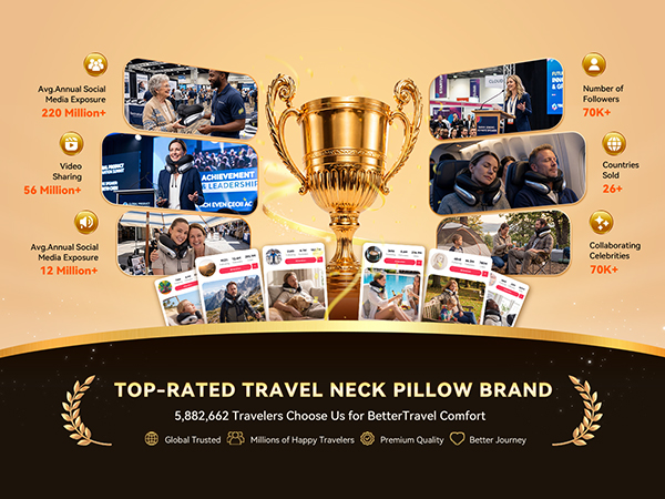 travel neck pillow