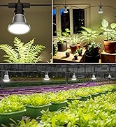 outdoor grow light