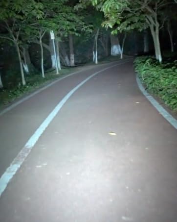 all lights