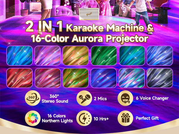 Karaoke Machine for Adults Teen Kids