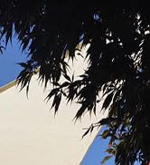 shade sail for patio