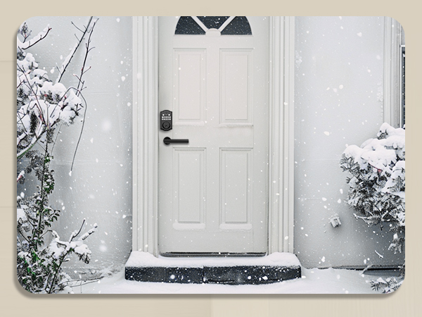 keyless entry door lock