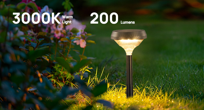 SOLAR lights outdoor