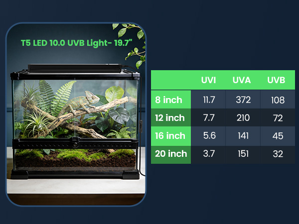 UVB LED Reptile Light