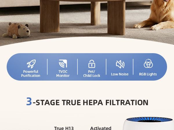 AP100-D with TVOC monitor