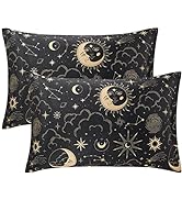 EXQ Home Satin Pillowcase for Hair and Skin Queen - Black Printed Silk Pillowcase 2 Pack 20x30 in...