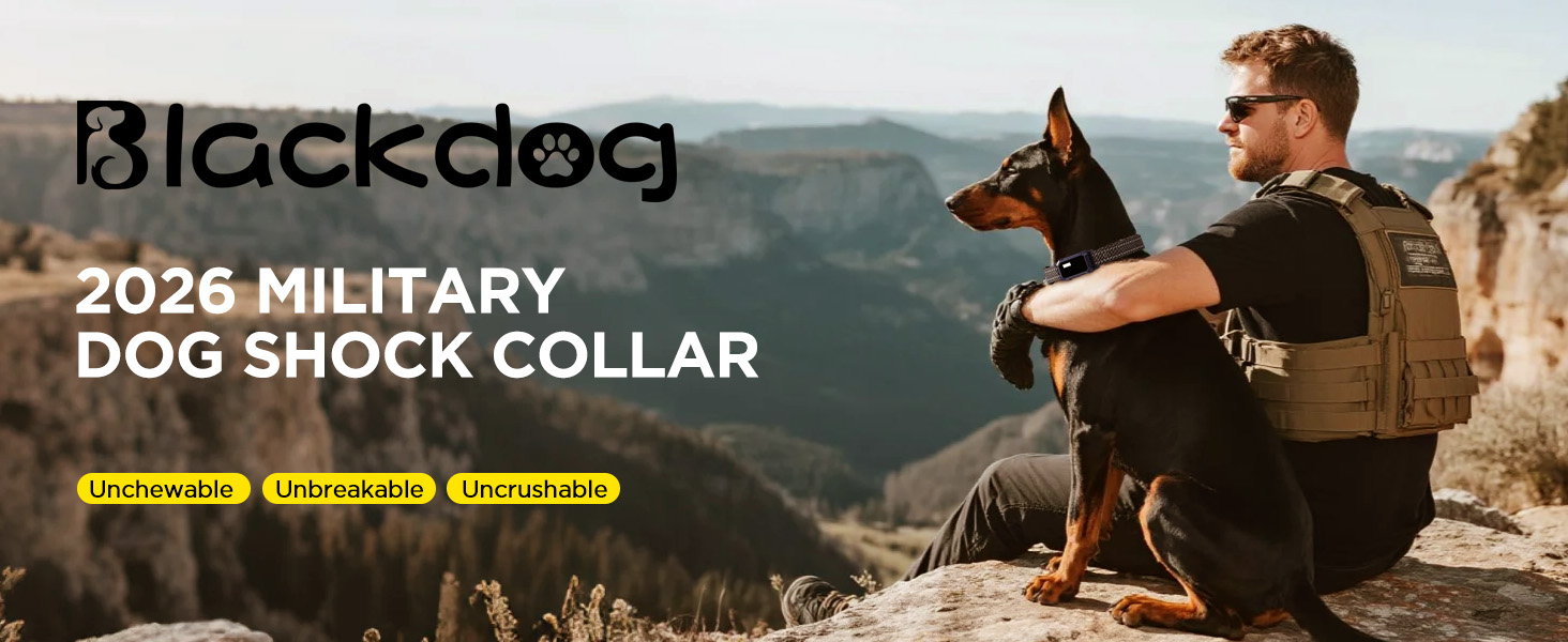 dog shock collar