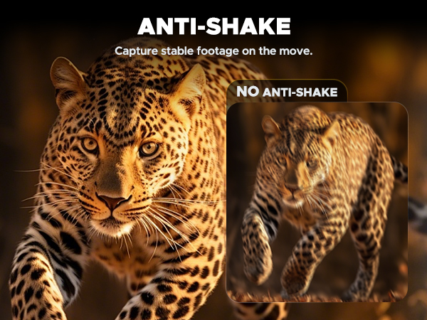 night vision goggles