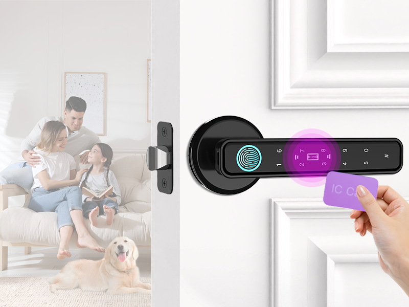 finger printer door lock that also allows unlocking with an IC card,apartment safty door lock,locks