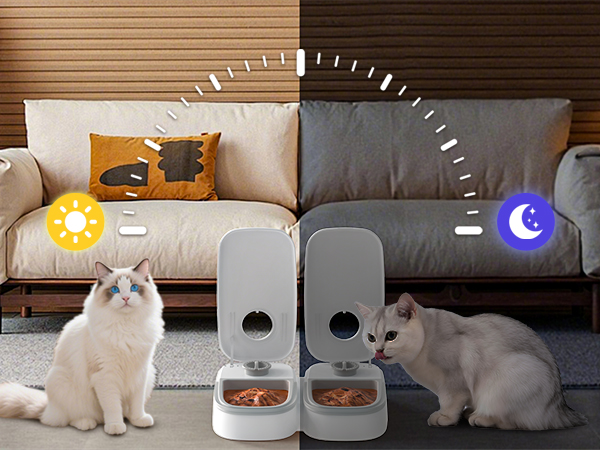 automatic cat feeder