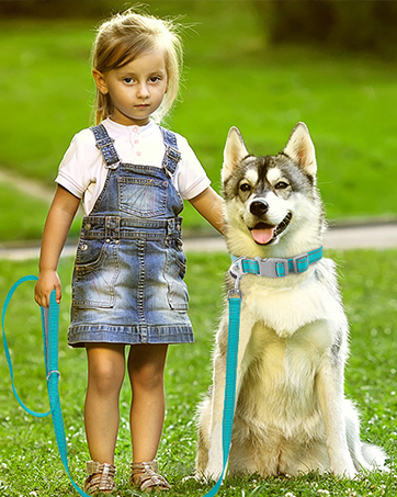 Dog Collar &amp;amp;amp; Leash