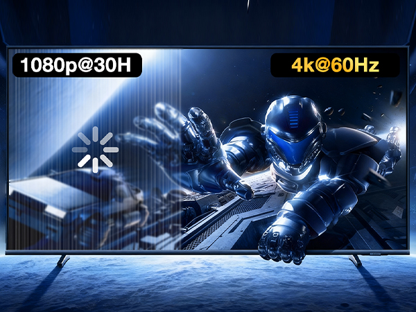 HDMI to DisplayPort Adapter