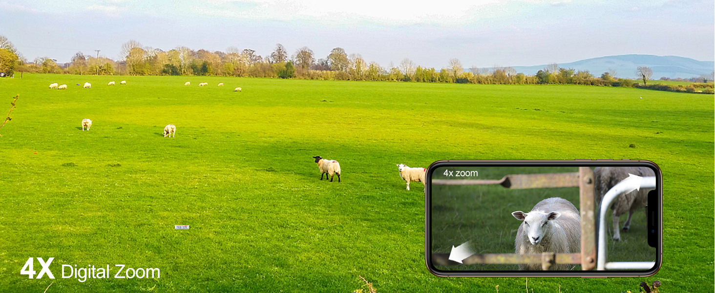 4X Zoom