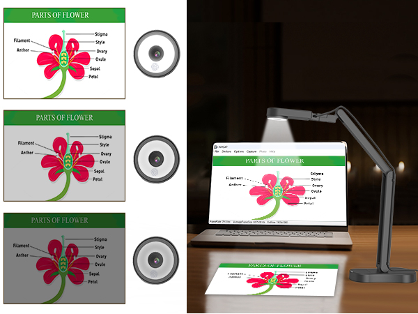 USB document camera teachers classroom teaching 8mp 4K art gift webcam school 