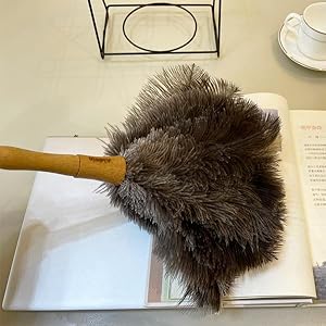 Feather Duster for Home