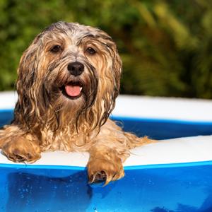 inflatable swimming pool