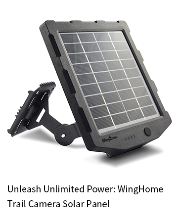 WingHome WH100 Solar Panel