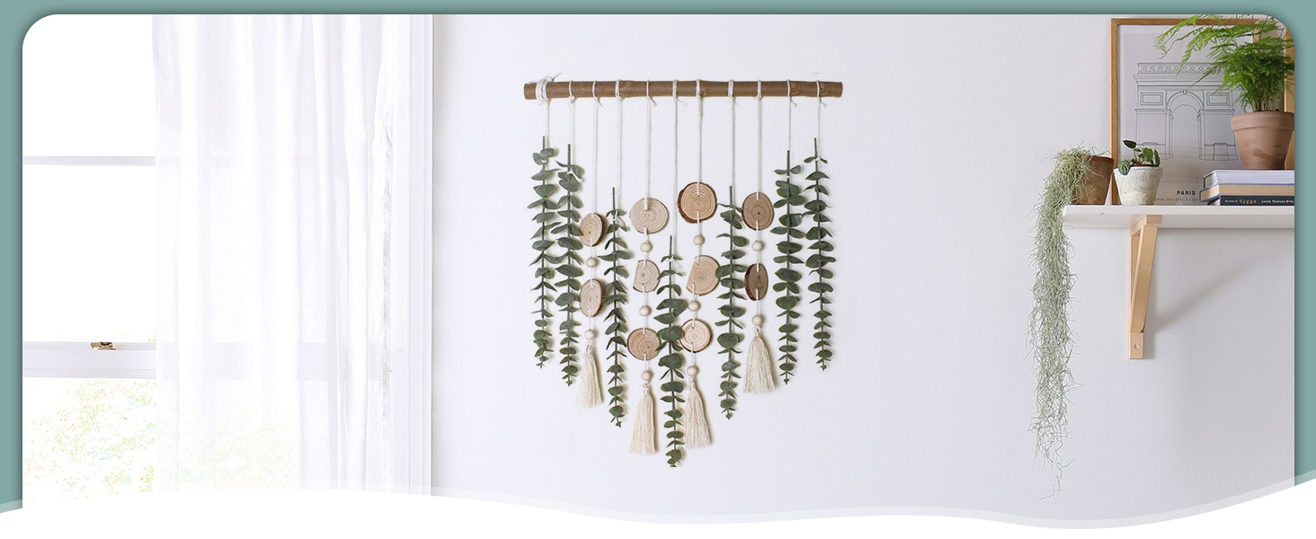 30pcs eucalyptus
