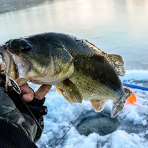 bass fishing