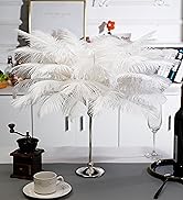 white ostrich feather