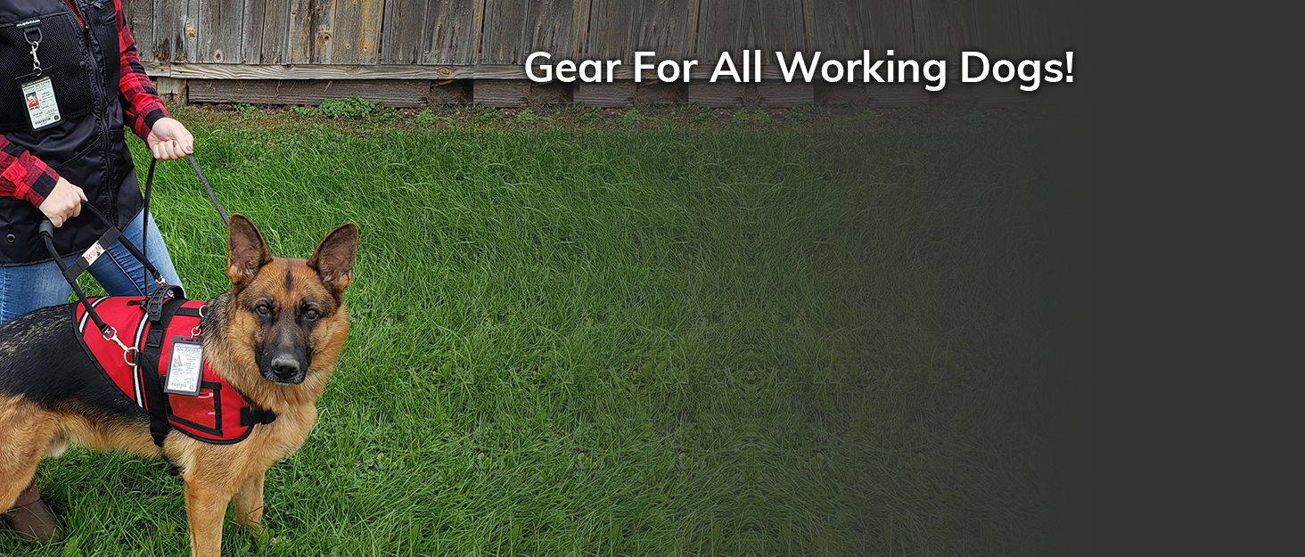 gear for working dogs