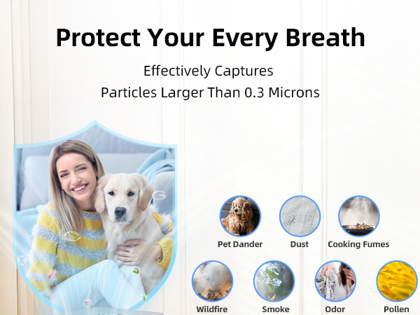 air purifier