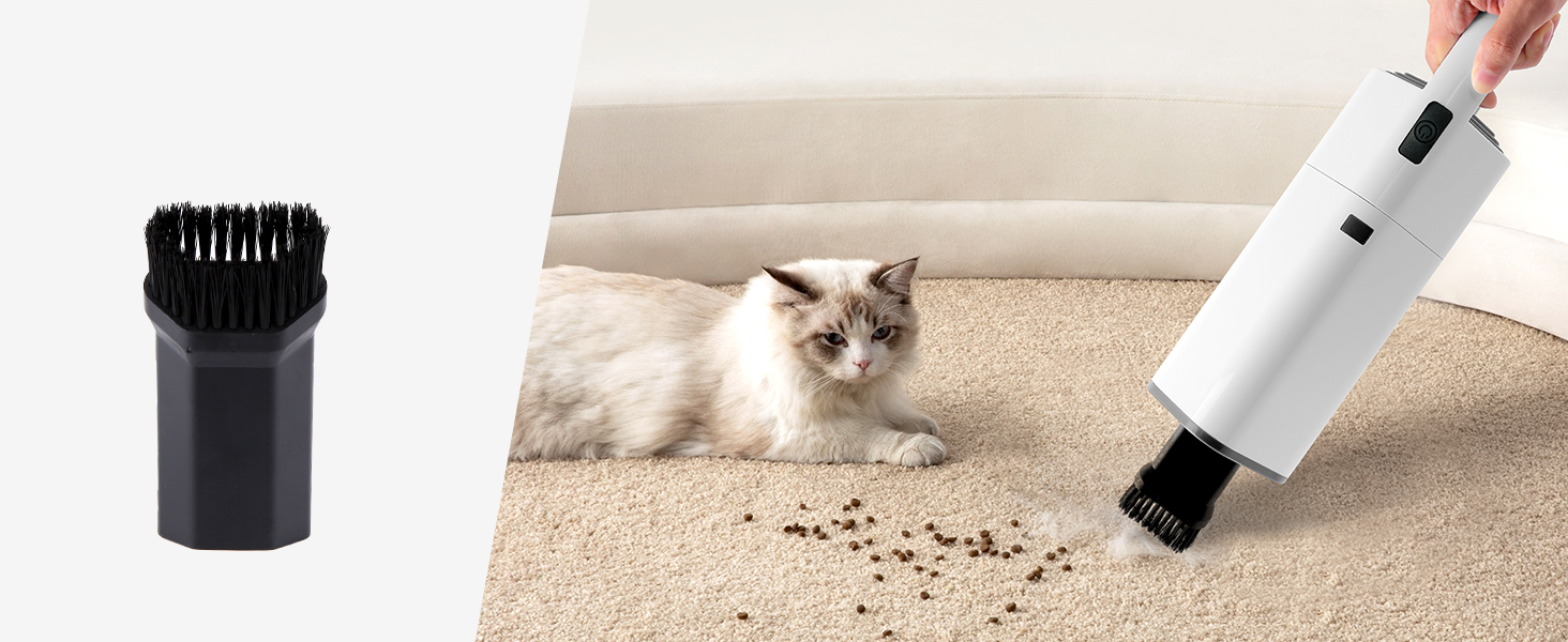 couch cleaner for pets detailing vacuum for vehicles