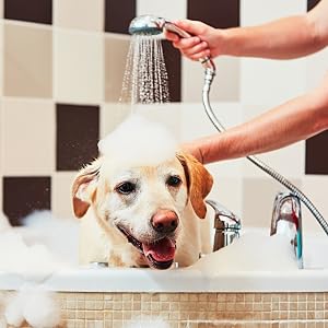 shower hose for pet