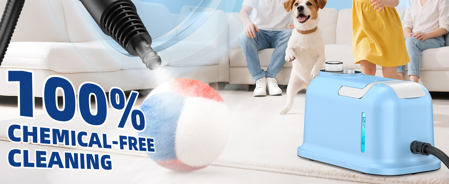 steamer for cleaning