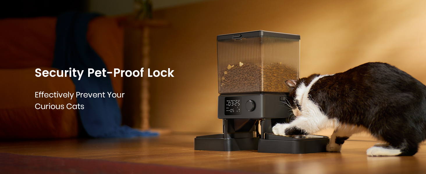 automatic cat feeder