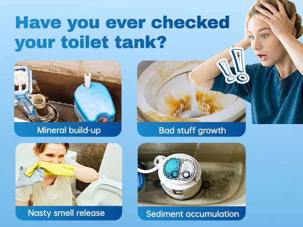 automatic toilet bowl cleaner