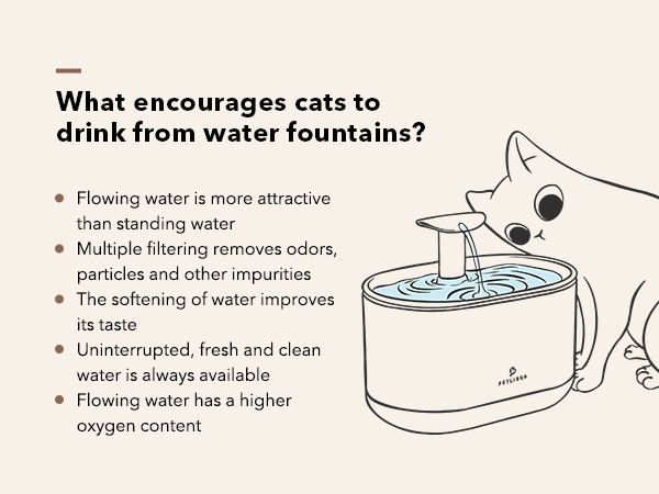 cat water fountain