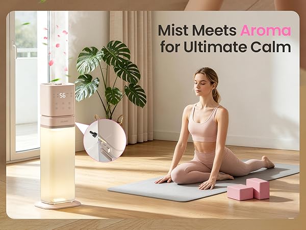 cool mist humidifiers