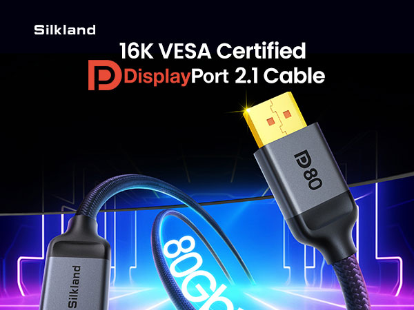 displayport 2.1 80gbps