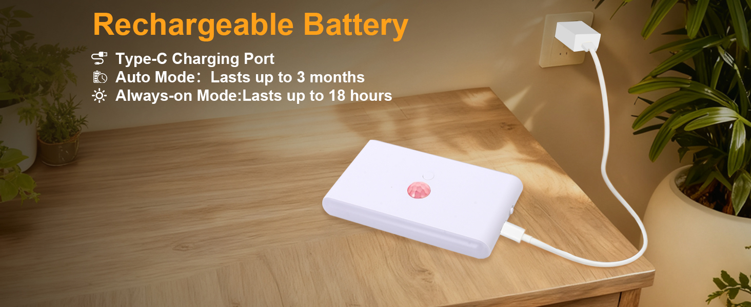 Rechargeable Battery