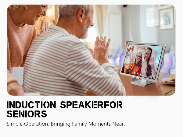 Wireless Induction Speaker