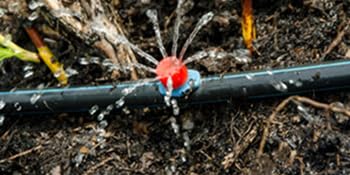 self priming pump for drip irrigation system