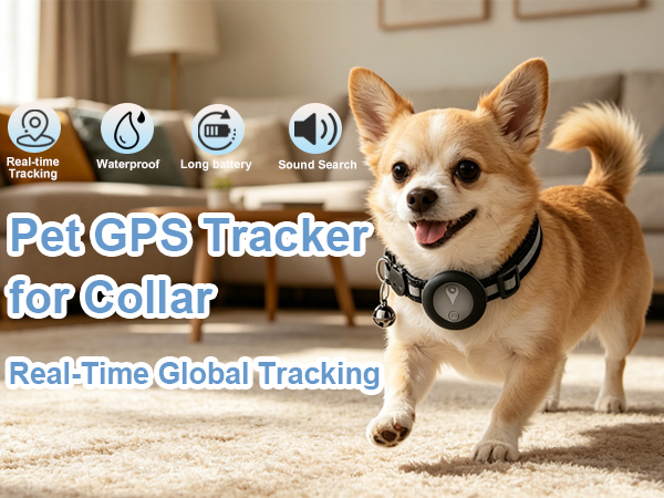 tracker for dog