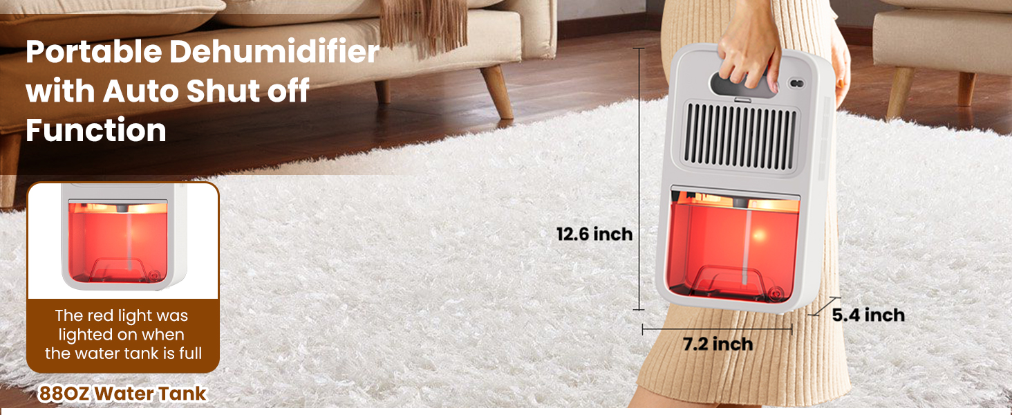 Dehumidifier for basement