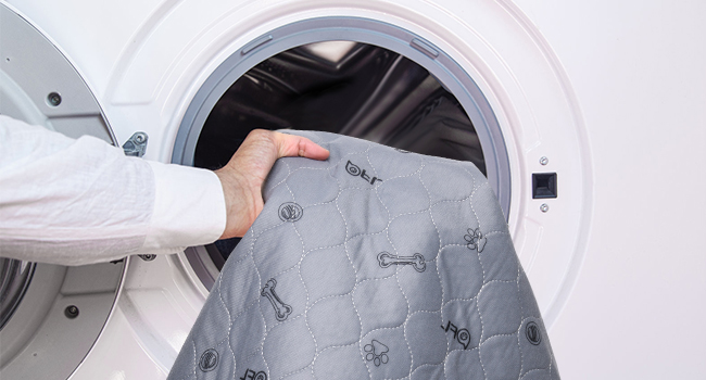 wasahble dog pad