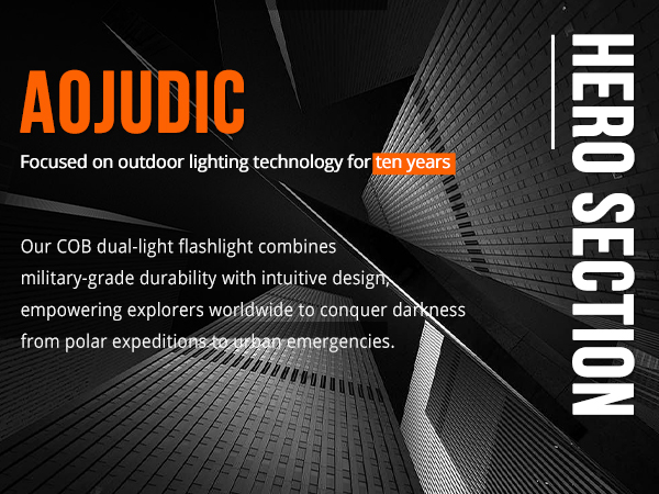 AOJUDIC Focused on outdoor lighting technology for ten years
