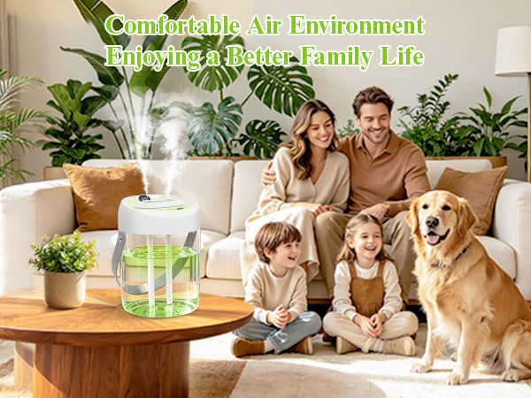 Portable Small Humidifier for Bedroom, Aroma Diffuser Personal Desktop Plant Humidifier Indoor