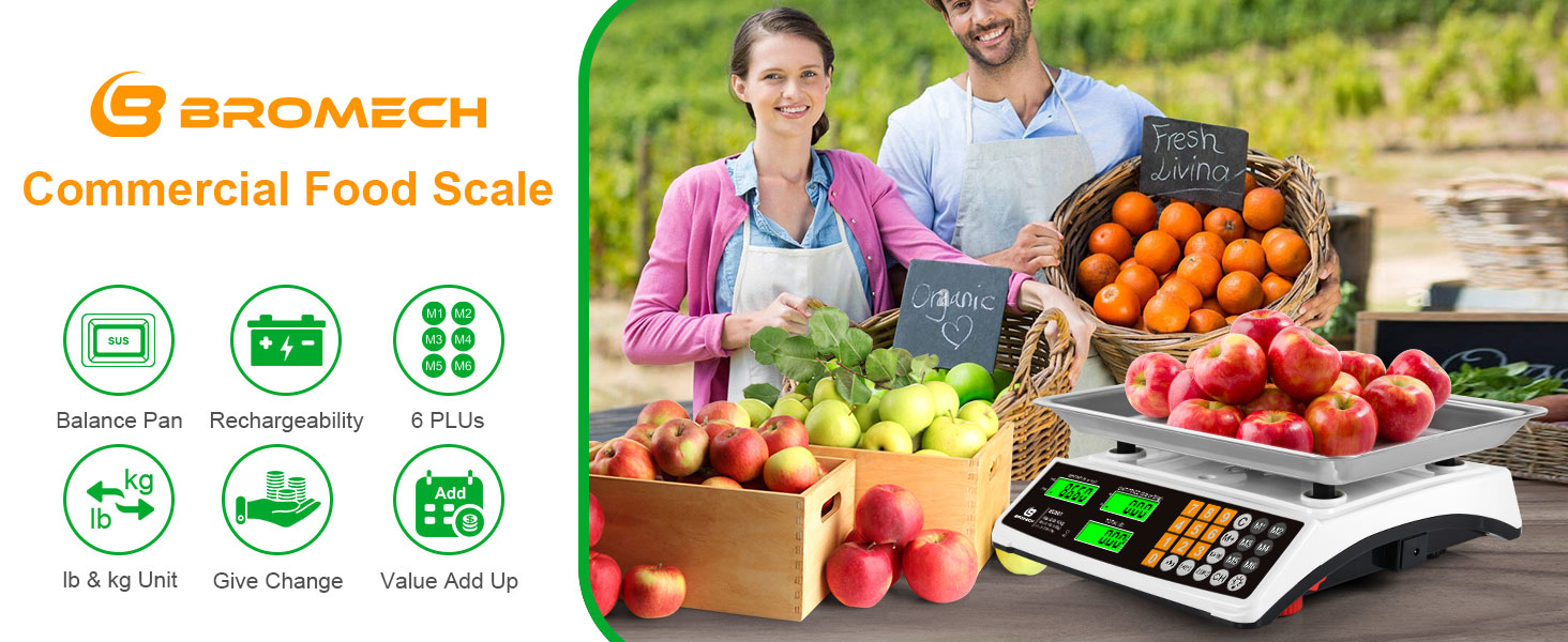 Commercial food scale