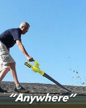 Leaf Blower Cordless